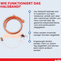 Bolfo Flohschutzband braun für Katzen und kleine Hunde 1 Stück