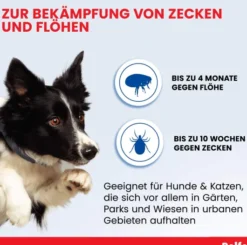 Bolfo Flohschutzband braun für Katzen und kleine Hunde 1 Stück