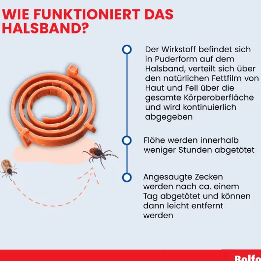 Bolfo Flohschutzband braun für große Hunde 1 Halsband