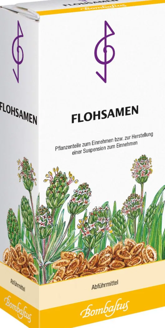 Bombastus Flohsamen 300 g Kerne