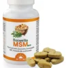 Boswellia Msm Forte Dr.Jacob s 90 Tabletten