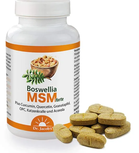 Boswellia Msm Forte Dr.Jacob s 90 Tabletten