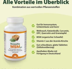 Boswellia Msm Forte Dr.Jacob s 90 Tabletten