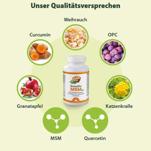 Boswellia Msm Forte Dr.Jacob s 90 Tabletten