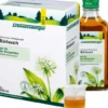Bärlauch Saft Schoenenberger Heilpflanzensäfte 3 X 200 ml Saft