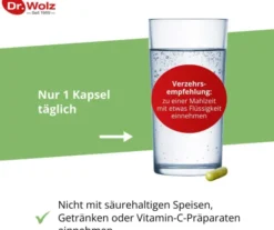 Brokkoli Extrakt + Aktiv-Enzym Dr. Wolz 60 Msr. Kapseln