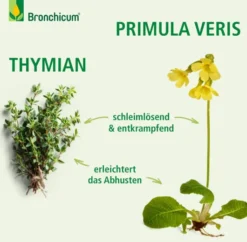 Bronchicum Tropfen 50 ml