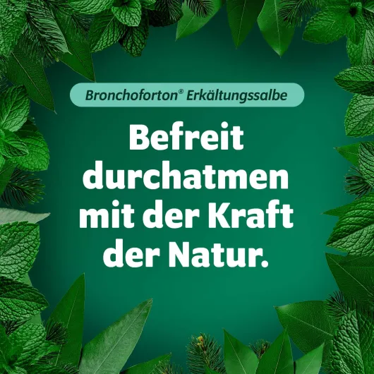 Bronchoforton Salbe 40 g