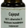 Cajeput Öl 100% Ätherisch 10 ml Öl