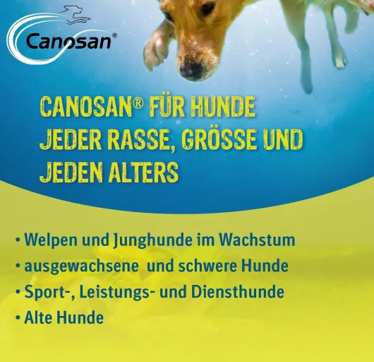 Canosan Konzentrat 650 g