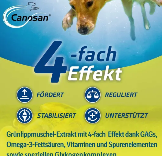 Canosan Konzentrat 650 g