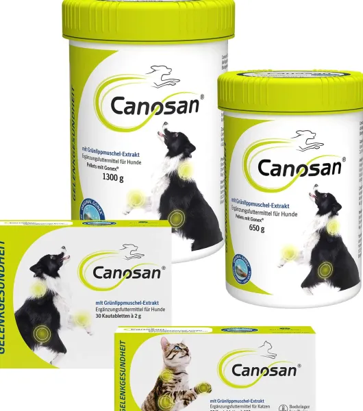 Canosan Konzentrat 650 g