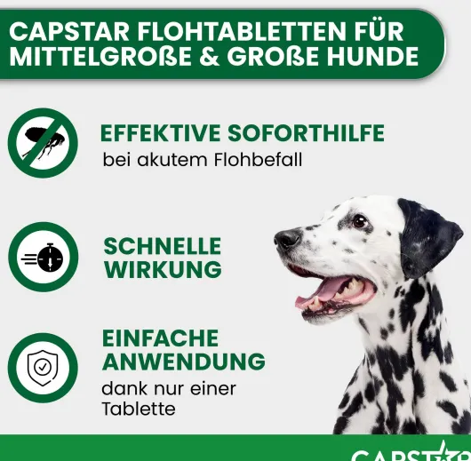 Capstar 57 mg Tabletten für große Hunde 6 Tabletten