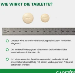 Capstar 57 mg Tabletten für große Hunde 6 Tabletten