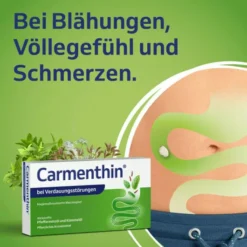 Carmenthin bei Verdauungsstörungen 42 magensaftresistente Weichkapseln