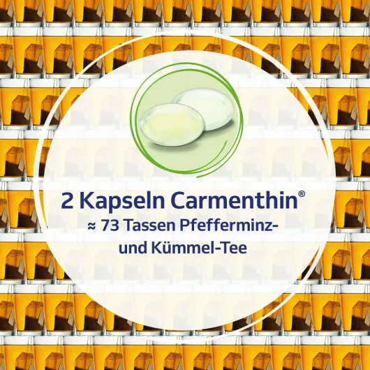 Carmenthin bei Verdauungsstörungen 14 magensaftresistente Weichkapseln