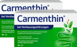 Carmenthin bei Verdauungsstörungen 2 x 84 magensaftresistente Weichkapseln