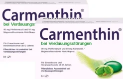 Carmenthin bei Verdauungsstörungen 2 x 84 magensaftresistente Weichkapseln