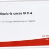 Cartilago Artic.Coxae Gl D 4 Ampullen