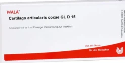 Cartilago Articularis Coxae Gl D 15 Ampullen