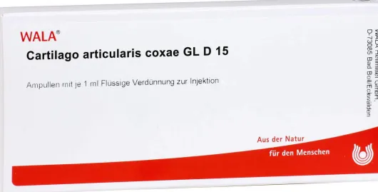 Cartilago Articularis Coxae Gl D 15 Ampullen