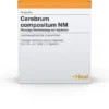 Cerebrum Compositum Nm 100 Ampullen