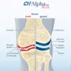 CH Alpha Gelenk 100 ml Gel
