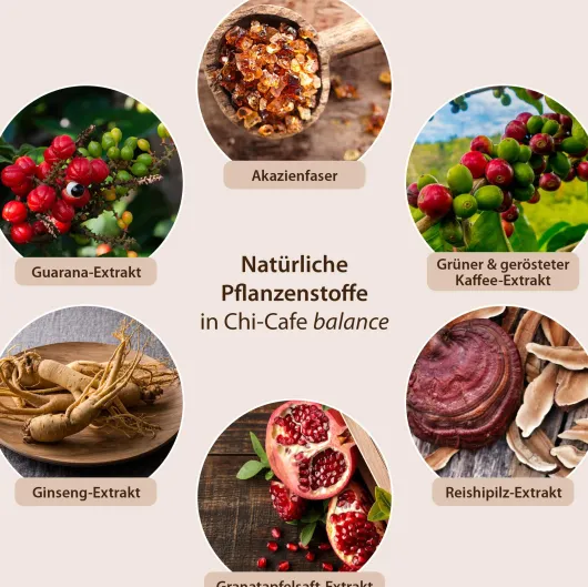 Chi-Cafe balance Nachfüllbeutel Pulver 1 Kg