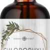Chlorophyll-Tropfen aus Alfalfa Nordic Pure 100 ml