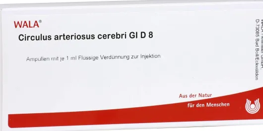 Circulus Arterios. Cer. Gl D 8 Ampullen