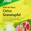 Cistus Granatapfel Tee