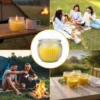 Citronella Kerze im Glas 4er-Set