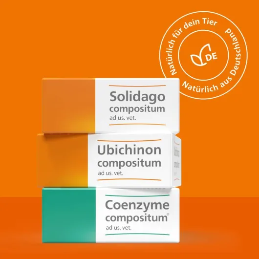 Coenzyme Compositum Ad Us.Vet. 100 Ampullen