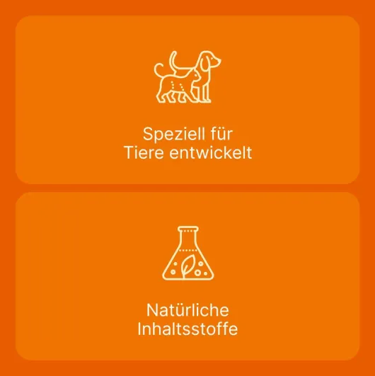 Coenzyme Compositum Ad Us.Vet. 100 Ampullen