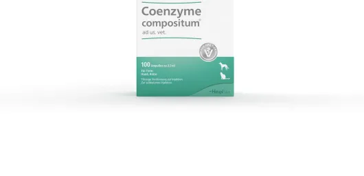 Coenzyme Compositum Ad Us.Vet. 100 Ampullen