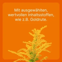 Coenzyme Compositum Ad Us.Vet. 100 Ampullen
