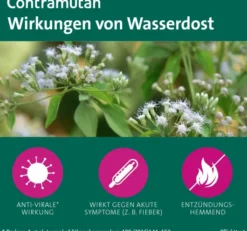 Contramutan Tropfen 50 ml
