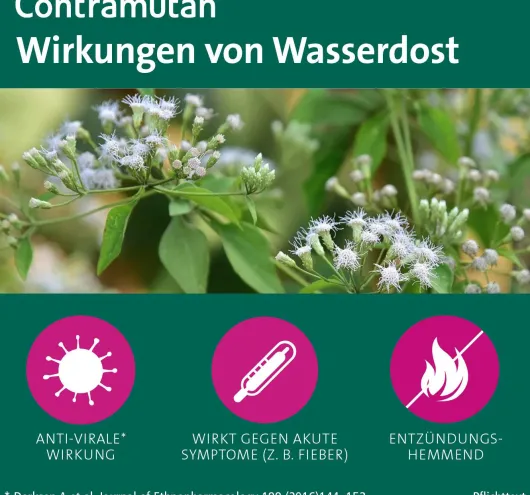 Contramutan Tropfen 50 ml