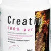 Creatin 100% Pur 500 G Pulver