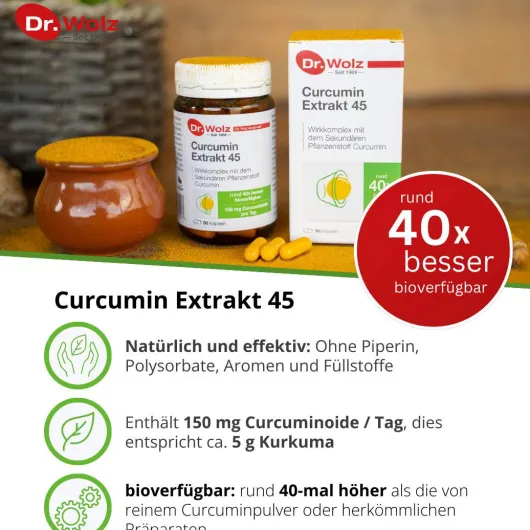 Curcumin Extrakt 45 Dr.Wolz Kapseln 90 Kapseln
