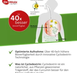 Curcumin Extrakt 45 Dr.Wolz Kapseln 90 Kapseln