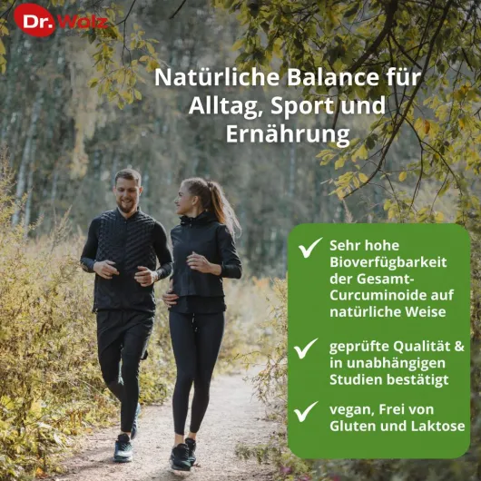 Curcumin Extrakt 45 Dr.Wolz Kapseln 90 Kapseln