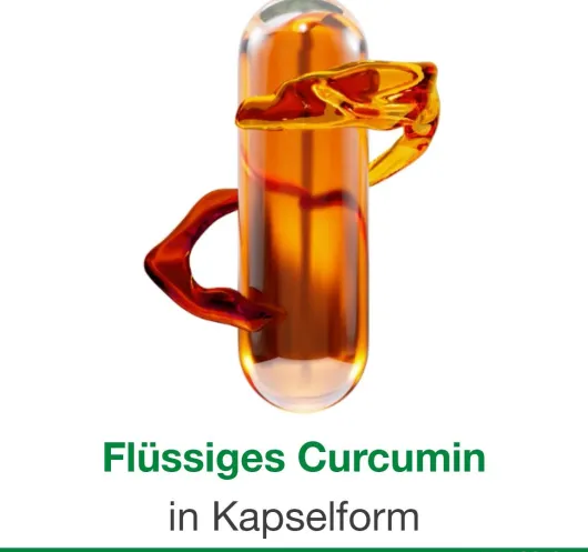Curcumin Loges 120 Kapseln