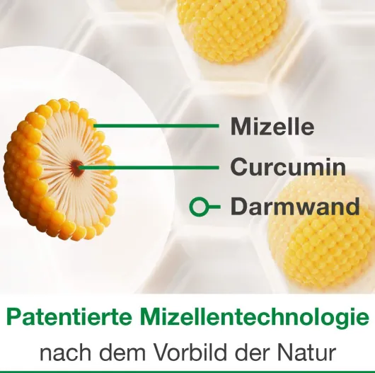 Curcumin Loges 120 Kapseln