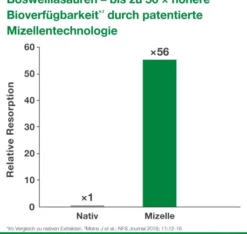 Curcumin Loges Plus Boswellia 120 Kapseln