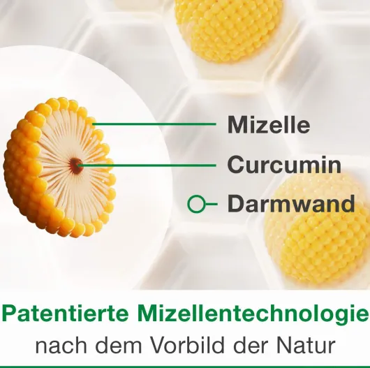 Curcumin Loges Plus Boswellia 120 Kapseln
