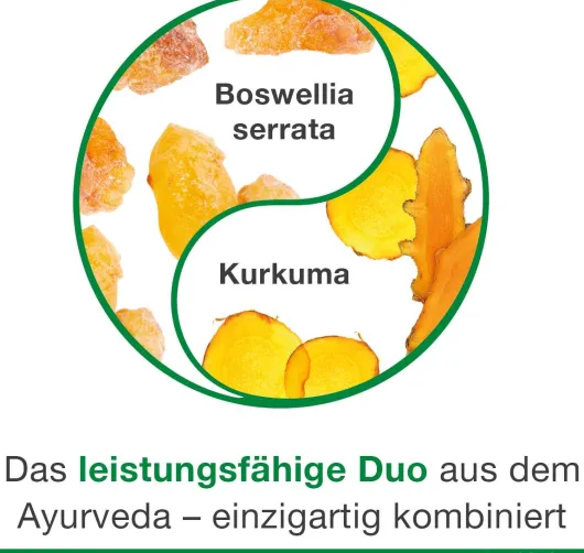 Curcumin Loges Plus Boswellia 120 Kapseln