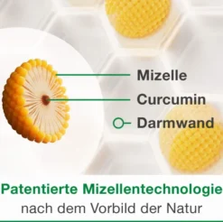 Curcumin Loges Plus Boswellia 60 Kapseln