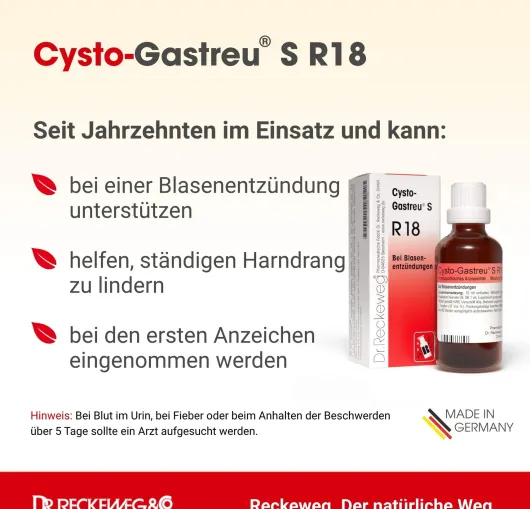 Cysto Gastreu S R 18 22 ml Tropfen