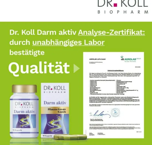 Darm Aktiv Dr.Koll 90 Kapseln
